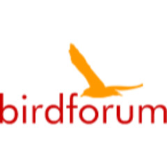 Bird Forum Shop Bird Forum Shop