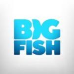 Big Fish Games Big Fish Games