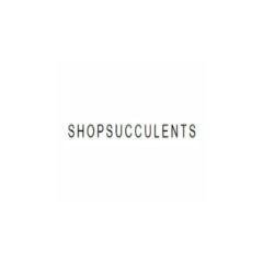 Shop Succulents Shop Succulents